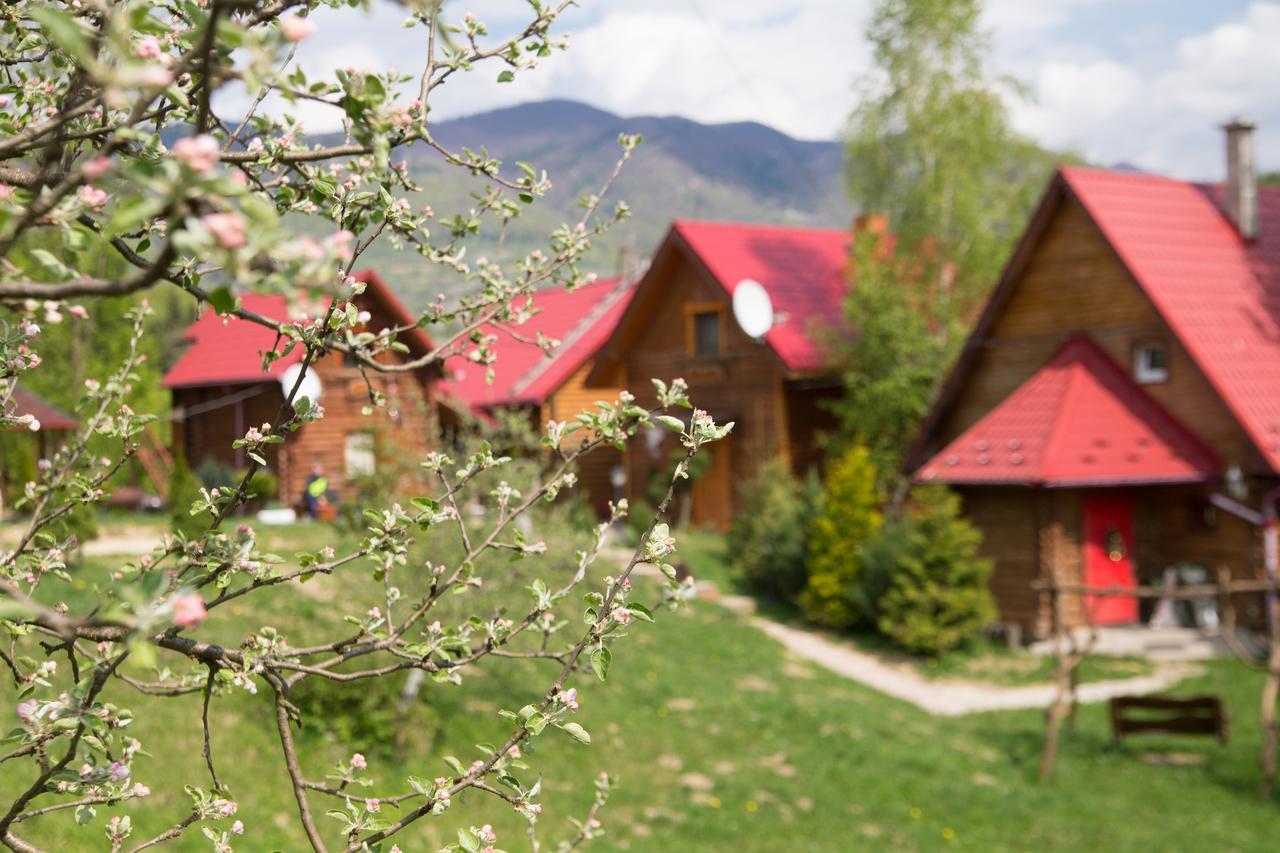 Teremok Guest House 维什卡 外观 照片